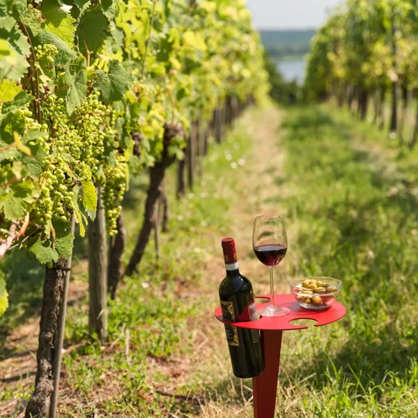 Porto Vino